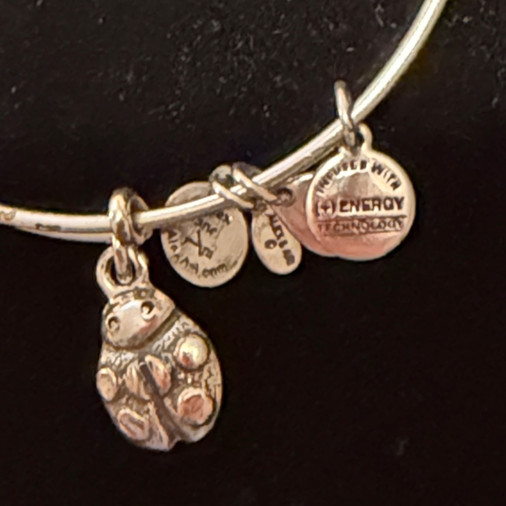 Alex and Ani Silver ladybug ๐ Charm Bracelet - Picture 2 of 3
